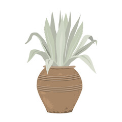 Blue Agave in an antique style flower pot, flat vector illustration. Potted Meditteranean garden plant.