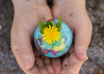 Human hands holding earth globe with dandelion flower and soil. Clean planet, green environment,...