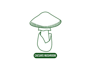 caesars mushroom line art vector illustration  - obrazy, fototapety, plakaty
