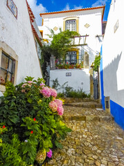 Fototapeta na wymiar Obidos, Portugal - July 28 2019: view of the town, historic houses