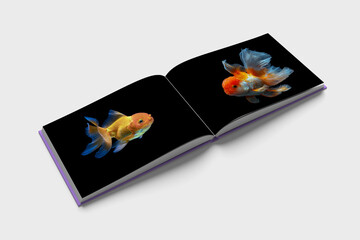 photo book about goldfish. goldfish photo on black background.