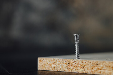 Closeup of screw being screwed into a wooden plank - macro shoot - obrazy, fototapety, plakaty