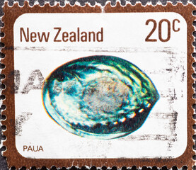 NEW ZEALAND - CIRCA 1978: a postage stamp from NEW ZEALAND , showing a molluscs Paua (Haliotis...