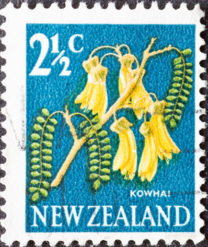 NEW ZEALAND - CIRCA 1967: a postage stamp from NEW ZEALAND , showing a flowering Kowhai (Sophora microphylla) . Circa 1967