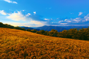 stunning summer scenery, awesome sunset landscape, beautiful nature background in the mountains, Carpathian mountains, Ukraine, Europe	