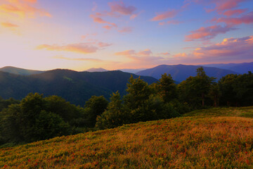 stunning summer scenery, awesome sunset landscape, beautiful nature background in the mountains, Carpathian mountains, Ukraine, Europe	