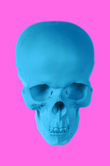 Blue gypsum human skull on isolated pink background with clipping path. Plaster sample model skull for students of art schools. Forensic science, anatomy and art education concept. Mockup for drawing.