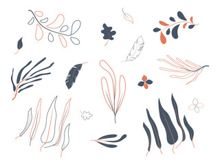 Vector set of leaves and flovers. Orange and blue color