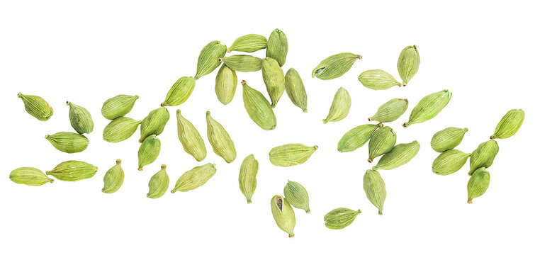 Green cardamom seeds isolated on a white background, top view. Dried cardamom pods.