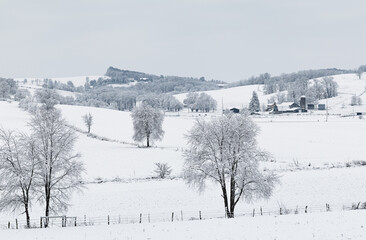 Snow Covered Amish Farmland in a Valley in Winter | Amish Country, Ohio