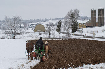 Fototapeta na wymiar Amish Farmer with His Team of Horses Plowing in the Snow | Winter in Amish Country, Ohio