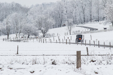 Amish Horse and Buggy Traveling on a Snowy Winding Road in the Wooded Countryside in Holmes County,...