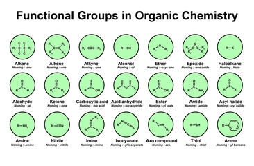 Functional Groups in Organic Chemistry. Colorful Symbols. Vector Illustration. - obrazy, fototapety, plakaty