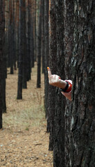 A hand from behind a tree shows the Fak sign