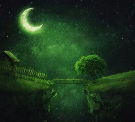Fototapete Beautiful painting with a isolated country house  on the edge of a chasm with a bridge over the abyss. Marvelous night scene with crescent moon and green spell shades © psychoshadow