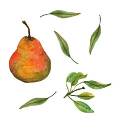 watercolor set of pears with leaves on a white background