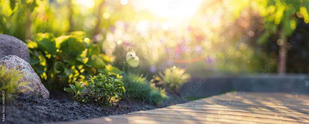 Wall mural Beautiful spring garden in the sun in a blurred background. Spring gardening concept