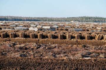 Obraz premium Landscape view of peat bog moss turbary. Photo taken on a warm overcast spring day. Latvia