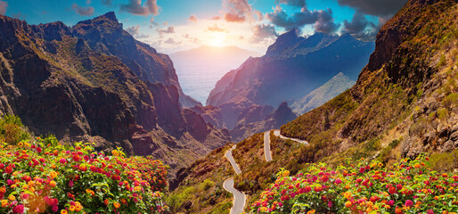 Valle de Masca. Isla canaria. Tenerife. España. Cactus, vegetación y panorama de la puesta de sol en Tenerife. © C.Castilla
