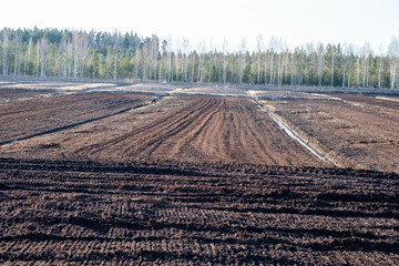 Landscape view of peat bog moss turbary. Photo taken on a warm overcast spring day. Latvia