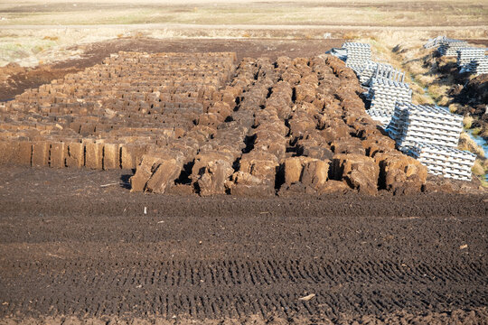 Landscape view of peat bog moss turbary. Photo taken on a warm overcast spring day. Latvia.