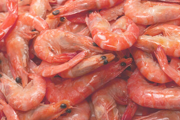 Shrimps background texture. A lot of shrimps. Cooked shrimps.