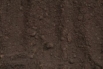 Black land for plant background. Top view.