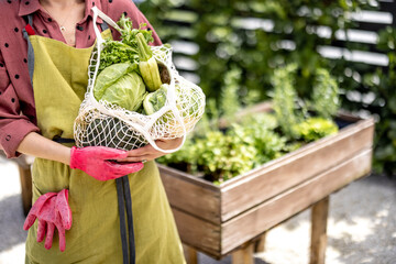 Woman holding mesh bag full of fresh vegetables and greens at home garden, cropped view. Concept of...