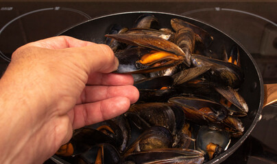 Cooking mussels in a pan. A hand holding an open mussel. Mussels are perfect in endless fish recipes, but the simplest and most traditional in Galicia are steamed mussels.