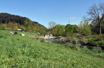 An der Dreisam in Freiburg im Fr&uuml;hling