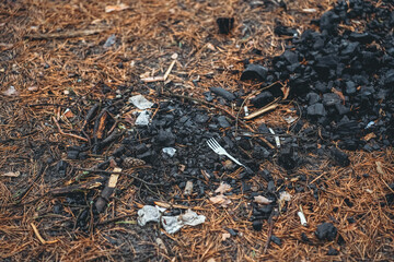 Garbage in the forest
