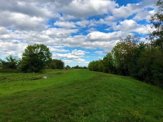 grass and blue sky