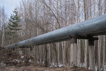 Side view of a pipeline running over in the woods. Heating pipelines. Heavy duty metal pipes...