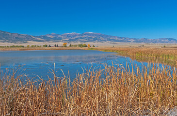 Fototapeta na wymiar Wetland Pond in a Mountain Valley