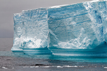 Whale - Antarctic Peninsula - Tabular Iceberg in Bransfield Strait