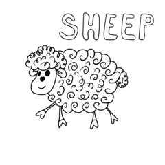 Children's coloring page sheep. Drawing by hand