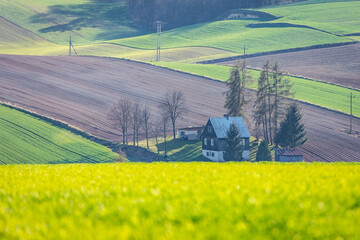 Wiosna na Ponidziu © Micha