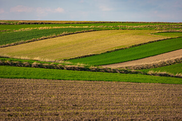 Wiosna na Ponidziu © Micha