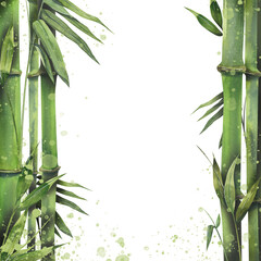 Watercolor illustration, banner with bamboo stems and leaves. With paint splashes, double-sided, vertical. For decoration and design, menus, posters, postcards, invitations, prints.