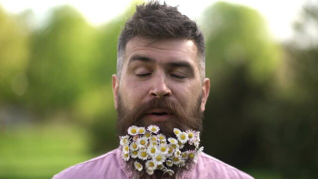 Allergy, spring allergy season. Bearded guy with decorated beard. Hipster with daisies in beard. Funny man with chamomile in beard outdoor portrait.
