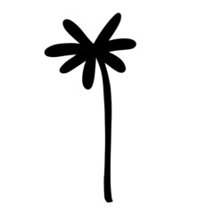 palm tree silhouette on white background