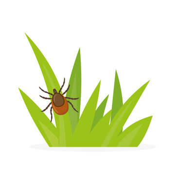 tick on green grass clip art preview