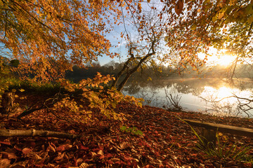 romantische Herbstlandschaft, buntes Herbstlaub am Fluss.
