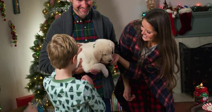 A family pets their new puppy in the living room on Christmas morning