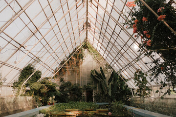 Botanical Garden. Greenhouse with swimming pool