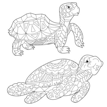 Contour linear illustration for coloring book with decorative paradise tortoise. Beautiful animal, anti stress picture. Line art design for adult or kids in zen-tangle style, tattoo and coloring page.
