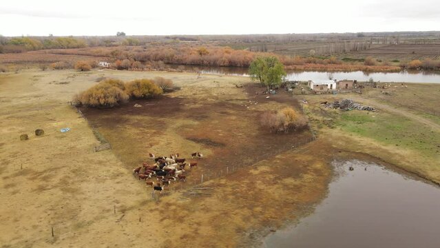 Vista a&eacute;rea de una chacra con animales