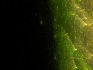 Imaginatory fractal abstract background Image