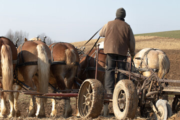 Obraz premium Amish Farmer Plowing a Field with His Horses in the Spring | Holmes County, Ohio