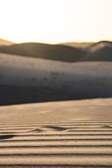 oasis desierto ica peru